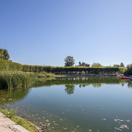 Appartement Cosy ,Wifi ,Gare "Le Refuge Du Lac" Vigneux-sur-Seine Exterior photo